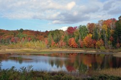 Steam mill brook Photo: Judy Sweet