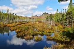 Hosmer brook Photo: Ken Hatch