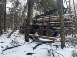 Forwarder bridge Photo: Alex Barrett