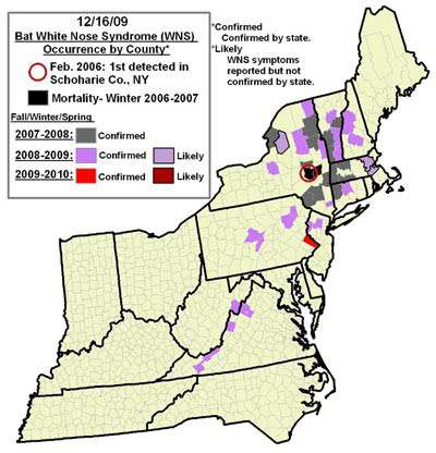 bat_map_1.jpg