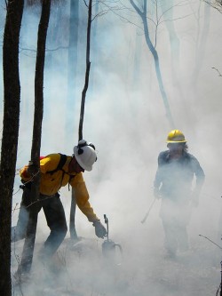 Field Work: At Work Starting (and Putting Out) Fires with Fire Management Services Photo: Dave Mance III