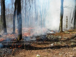 Field Work: At Work Starting (and Putting Out) Fires with Fire Management Services Photo: Dave Mance III