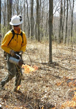 Field Work: At Work Starting (and Putting Out) Fires with Fire Management Services Photo: Dave Mance III