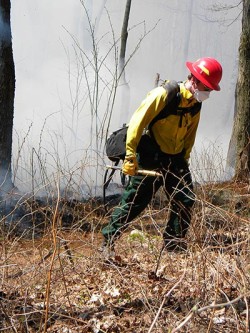 Field Work: At Work Starting (and Putting Out) Fires with Fire Management Services Photo: Dave Mance III