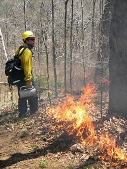 Field Work: At Work Starting (and Putting Out) Fires with Fire Management Services Photo: Dave Mance III