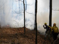 Field Work: At Work Starting (and Putting Out) Fires with Fire Management Services Photo: Dave Mance III