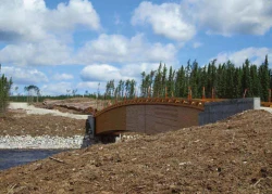 cree16.jpg