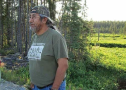 cree4.jpg