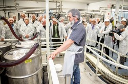 A Maple Bubble? How the Syrup Market Works, and What It All Might Mean Photo: Federation of Quebec Maple Syrup Producers Collection