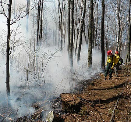 Field Work: At Work Starting (and Putting Out) Fires with Fire Management Services