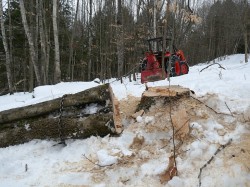 Firewood Photo: Gordon Gould