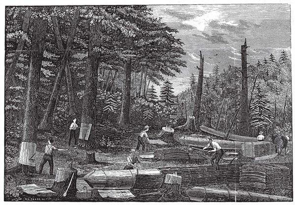 Hemlock and Hide: The Tanbark Industry in Old New York