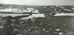 Hemlock and Hide: The Tanbark Industry in Old New York Photo: The Adirondack Museum Collection