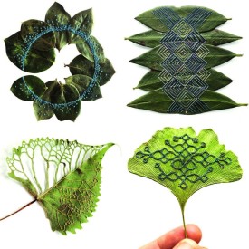 Hillary Waters Fayle thumbnail