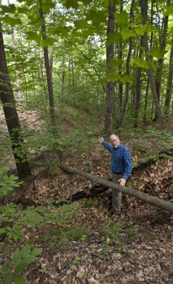 One for the Ages: The Hurricane of 1938 Battered New England's Woods 75 Years Ago Photo: John Douglas