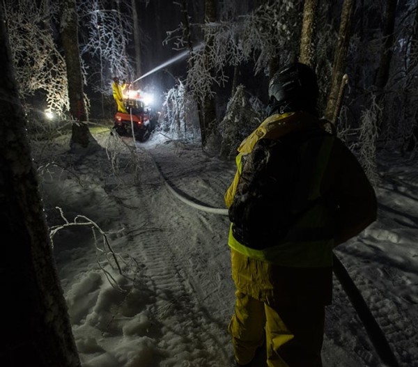 An Ice Storm Comes to Hubbard Brook