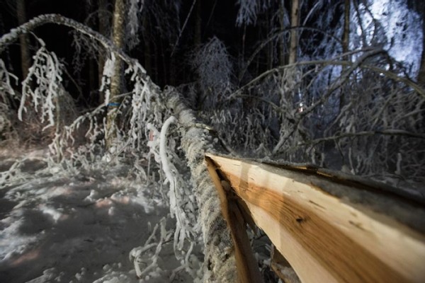 An Ice Storm Comes to Hubbard Brook