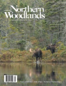 Photo by Roger Irwin Issue 110: Autumn 2021 cover  by Northern Woodlands