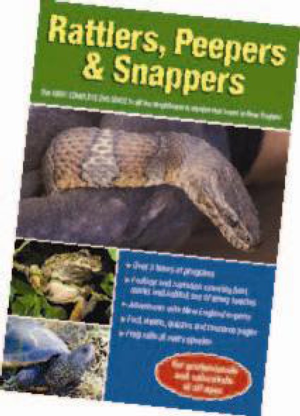 Video Guide to Reptiles and Amphibians