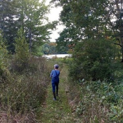 Ruth Cutler oak forest cover  by Eric Hansen