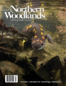 Cover by Nick Scobel Spring 2023 cover  by Northern Woodlands