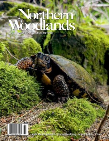 Photo by Kiley Vincent Briggs spring magazine cover  by Northern Woodlands