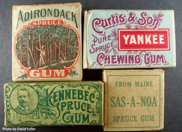 Remembering Spruce Gum