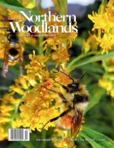 Photo by Susan Morse Summer magazine cover  by Northern Woodlands