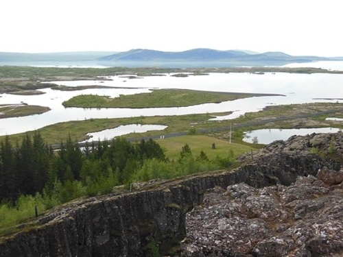 Forestry in Iceland?