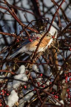 December 2014 - January 2015 Photo: Tig Tillinghast.