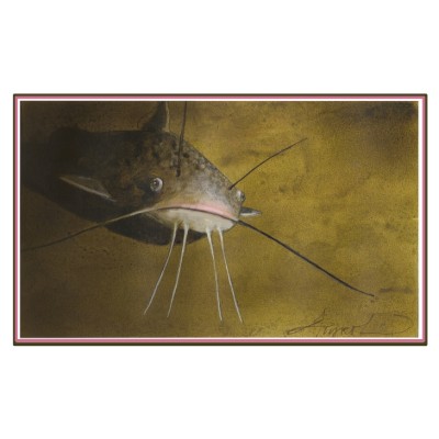 Catfish cover  by Adelaide Tyrol