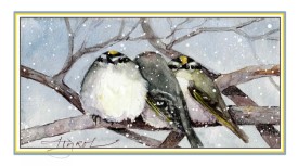 Golden crowned kinglet thumbnail