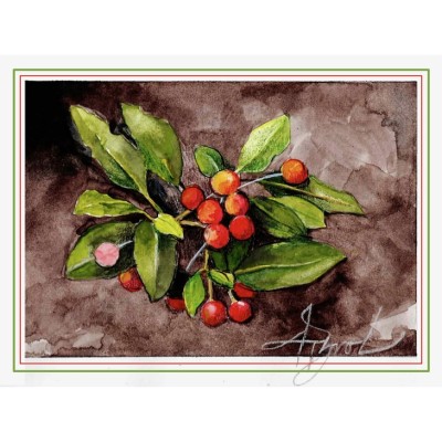 tos-ilex-lead_1.jpg cover 