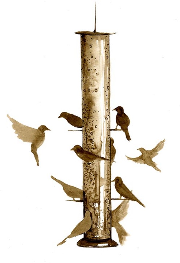 On Winter Birdfeeders, Many Questions