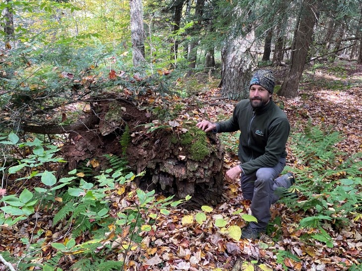 Backyard Forestry with Ryan Trapani