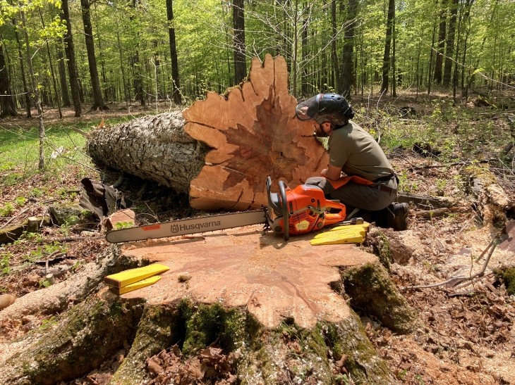 Backyard Forestry with Ryan Trapani