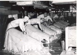 Hemlock and Hide: The Tanbark Industry in Old New York Photo: The Jones Township Historical Interest Group Collection