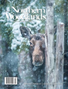 Photo by Shaun Terhune Winter Magazine cover  by Northern Woodlands