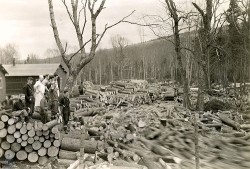 A Brief History of the Brown Paper Company Photo: Courtesy of the Brown Company Collection, Plymouth State University