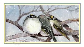 Golden crowned kinglet thumbnail