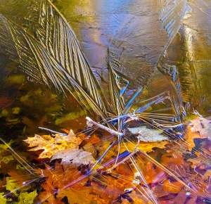 A Colorful Late-Fall Ice Show on a New Hampshire Pond thumbnail