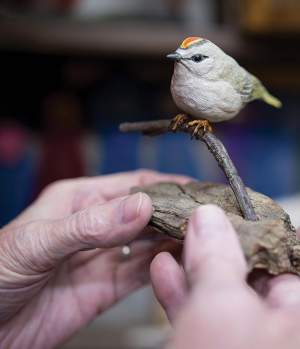 A Bird in Hand: The Art of Woodcarver George Calef thumbnail