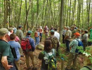 Northeast Silviculture Institute Review thumbnail