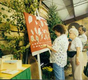 Forestry at the Fair