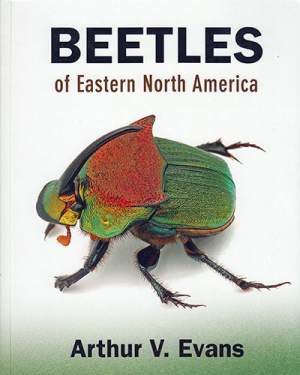 Beetles of Eastern North America thumbnail