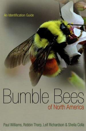Bumble Bees of North America: An Identification Guide thumbnail