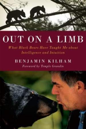 Out on a Limb: What Black Bears Have Taught Me About Intelligence and Intuition thumbnail