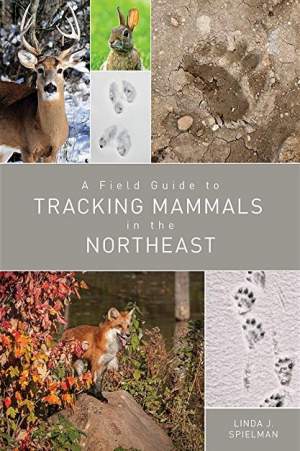 A Field Guide to Tracking Mammals in the Northeast thumbnail