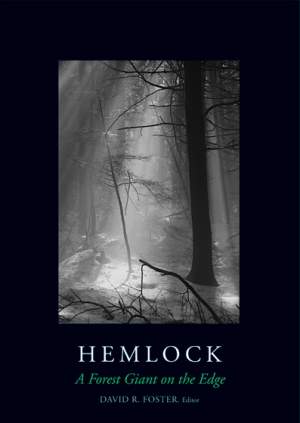 Hemlock: A Forest Giant on the Edge thumbnail