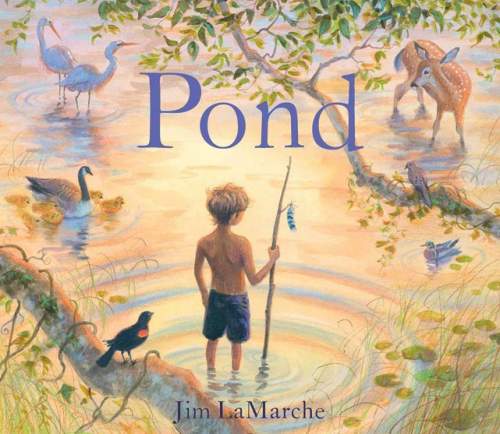 pond_book_cover.jpg